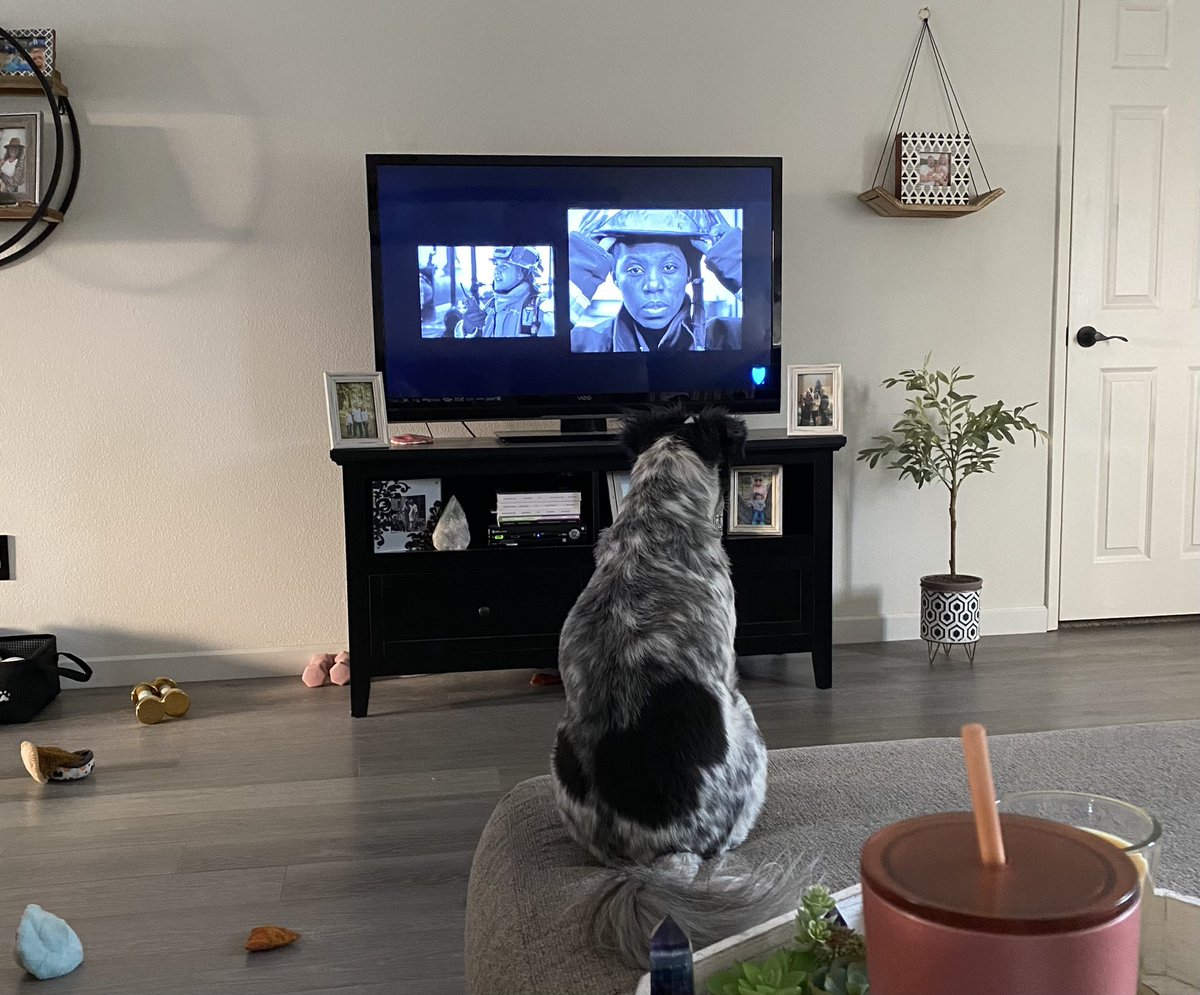Tinaughty's tweet photo. Joey loves watching TV! https://t.co/nXwyRQUHBn
