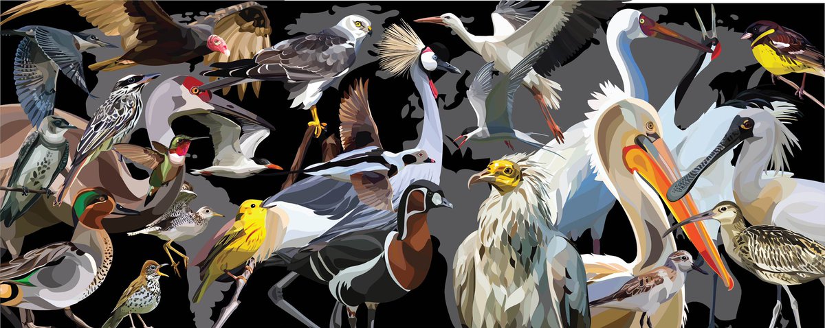 enviroamericas's tweet photo. And for the first time, we have art that reflects migratory flyways around the world. Celebrate #WorldMigratoryBirdDay on October 9! Thanks to artist Sara Wolman for her work! @hi_im_an_artist @forestservice @USFWSRefuges @USFWSBirds @BLMNational https://t.co/oi9nxsB4b6