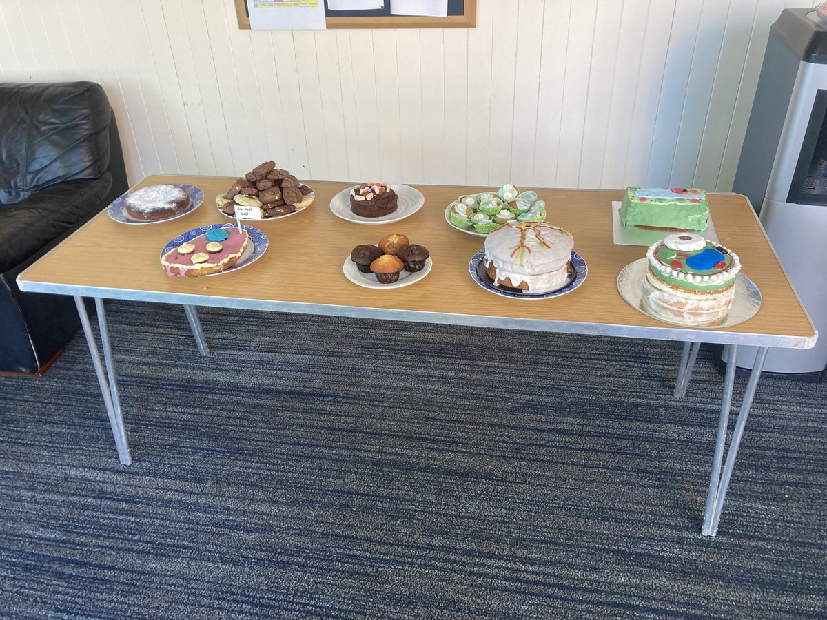 Well done to the Shell who did a cake sale to celebrate Biology week and support ORBIS. All sold out with just a few IOUs outstanding! Thank you to the boys and parents who helped support this great cause.