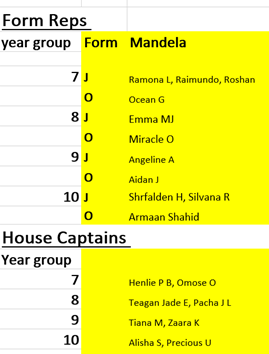 MsjHouse's tweet photo. Congratulations to this years successful form representatives and House Captains for Mandela House. The applications this year were OUTSTANDING and made the decision process very difficult! We are so proud of all students that entered an application. This list makes a super team! https://t.co/vchIXopBdE