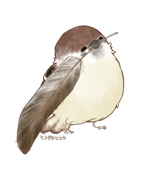 すずめ 高画質 のtwitterイラスト検索結果