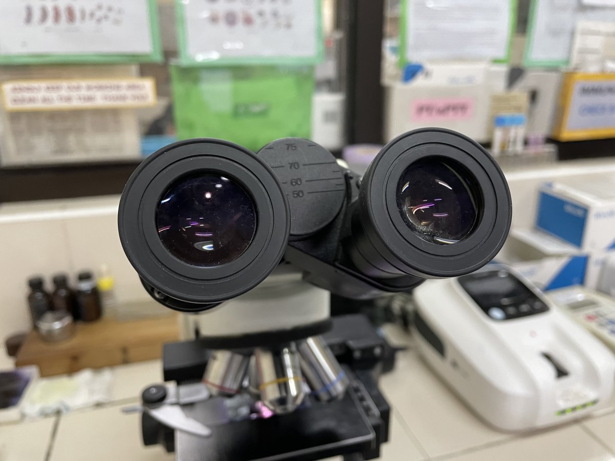 philipellorin_'s tweet photo. what we see under the microscope:
✅yeast cells
✅gram-positive bacilli
✅gram-positive cocci in chains
@MedtechMustKnow 
@medtech_journal https://t.co/sK4tJhZGLv