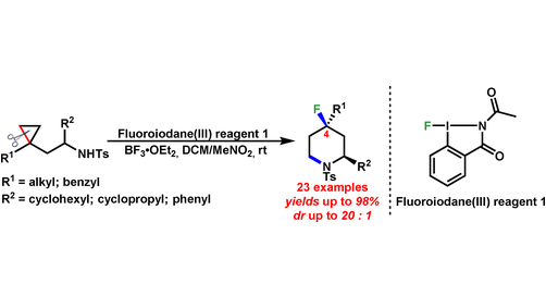 #RingExpansion Fluorination of Unactivated Cyclopropanes Mediated by a New Monofluoroiodane(III) Reagent (Zhang) onlinelibrary.wiley.com/doi/10.1002/an…