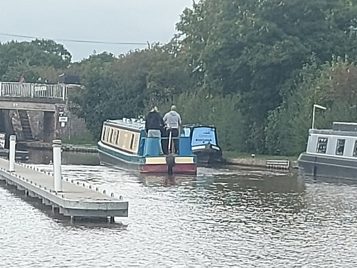 𝔻𝕒𝕧𝕚𝕕 𝔹𝕣𝕒𝕞𝕝𝕖𝕪 𝐧𝐛 𝐒𝐧𝐨𝐰𝐠𝐨𝐨𝐬𝐞 tweet media