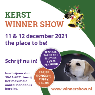 Inschrijving Kerst Winner Show 2021 geopend! 
Exposanten kunnen vanaf nu inschrijven voor de Kerst Winner Show 2021 op 11 en 12 december 2021 in de Evenementenhal in Gorinchem. 
Sfeervolle show in kerstsfeer met dubbel CAC, CACIB en Winner Titel.  info via winnershow.nl