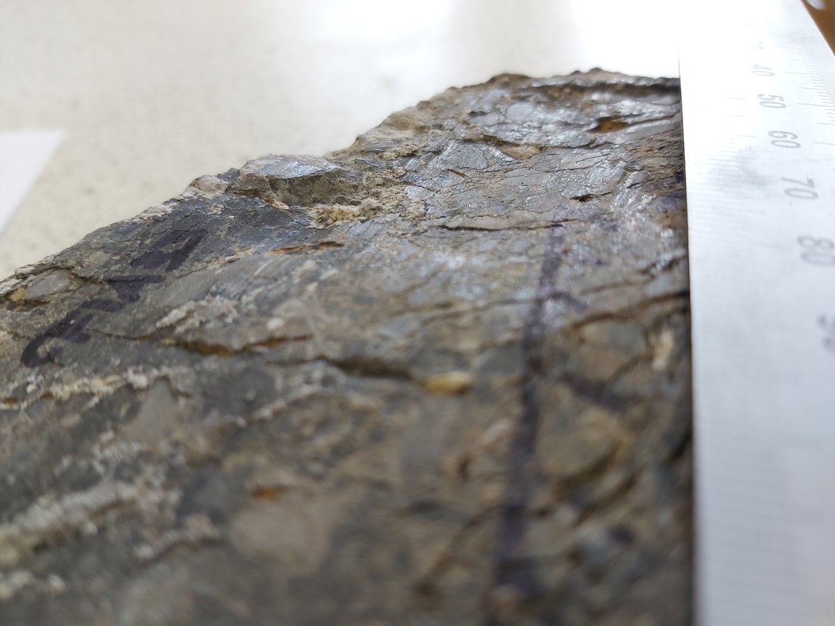 ashman_izzy's tweet photo. Checking out the mirror surface on my #faultplane sample from the CFZ, pretty shiny!
@livrockdef #geology #phdlife #rocks #research #mirrorplanes https://t.co/NqvkLskAHL