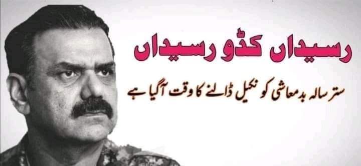 وقاص ملک tweet media