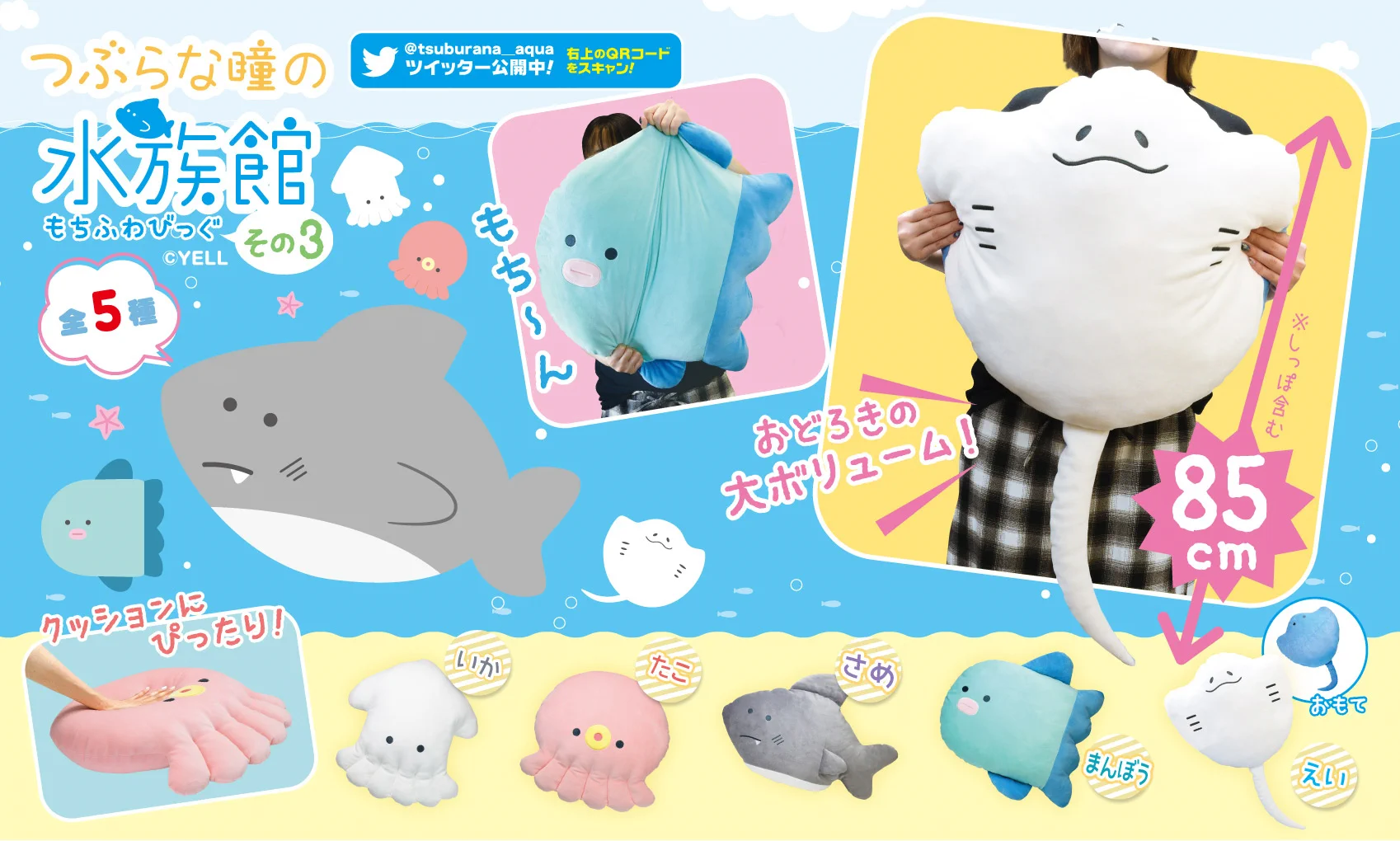 つぶらな瞳　ぬいぐるみ つぶらな瞳の仲間達【公式】 on X: 