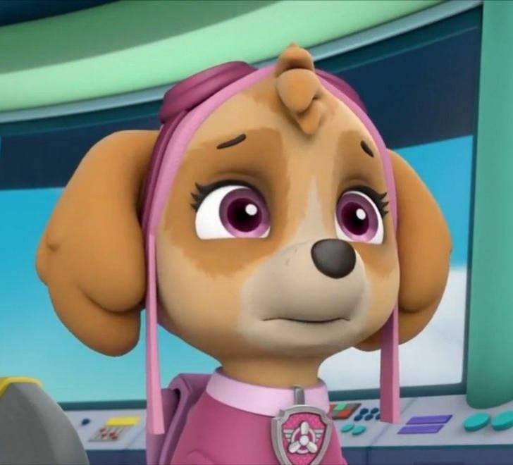 Marshall Hall sur Twitter : \