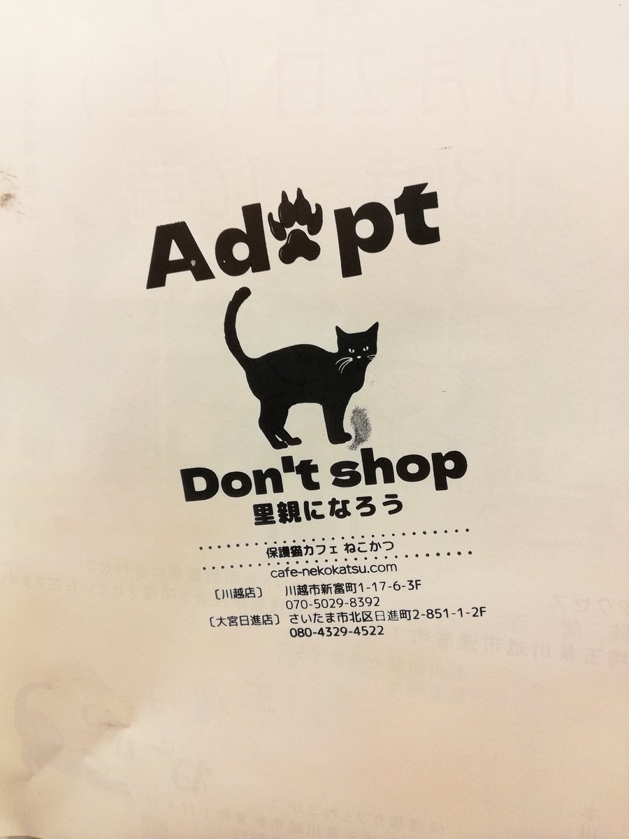 News about #里親募集 on Twitter