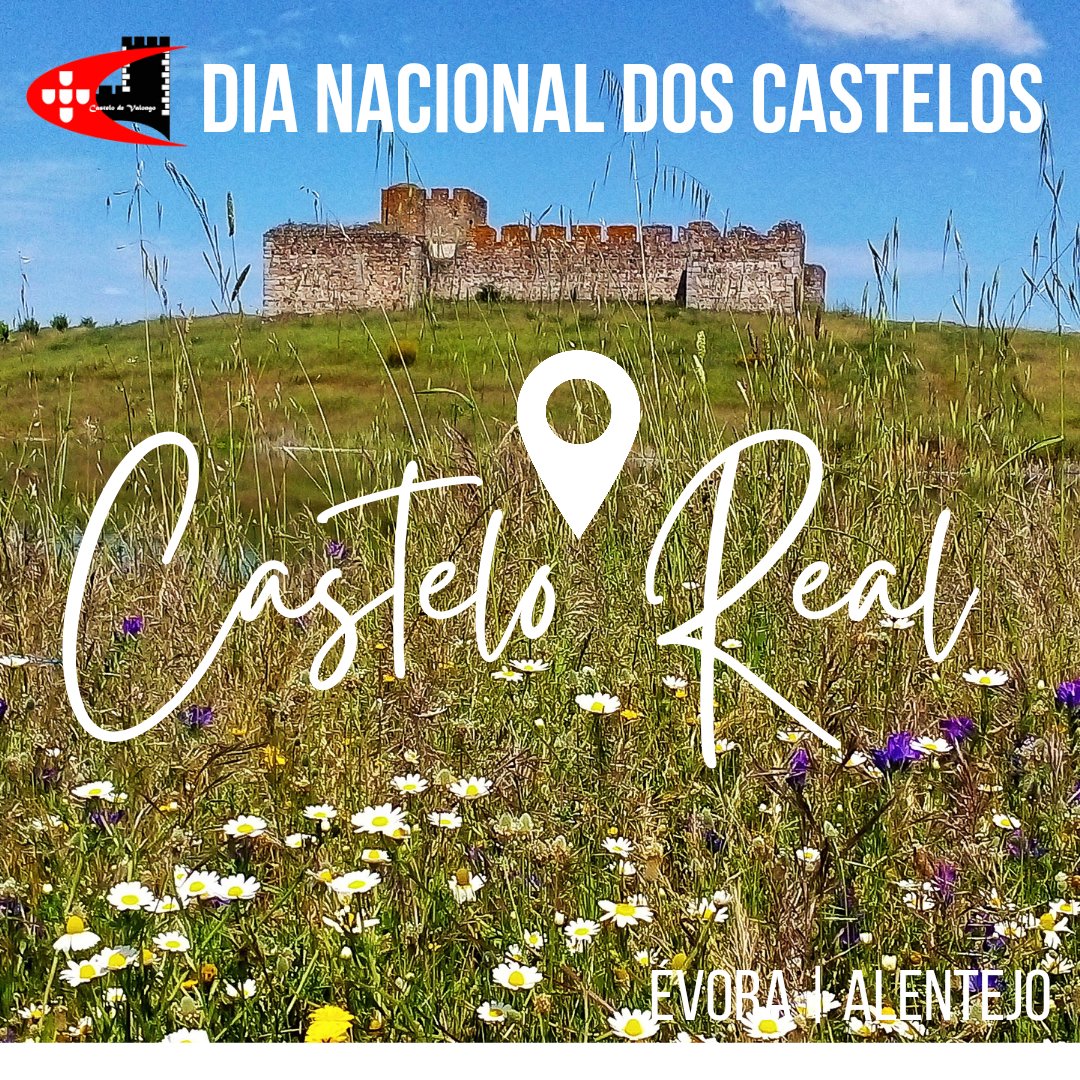 amigoscvalongo's tweet photo. #castelodevalongo #amigoscastelodevalongo #alentejo #évora #montoito #castillodevalongo #castleofvalongo #castelosdeportugal https://t.co/uJM5LwEvhn