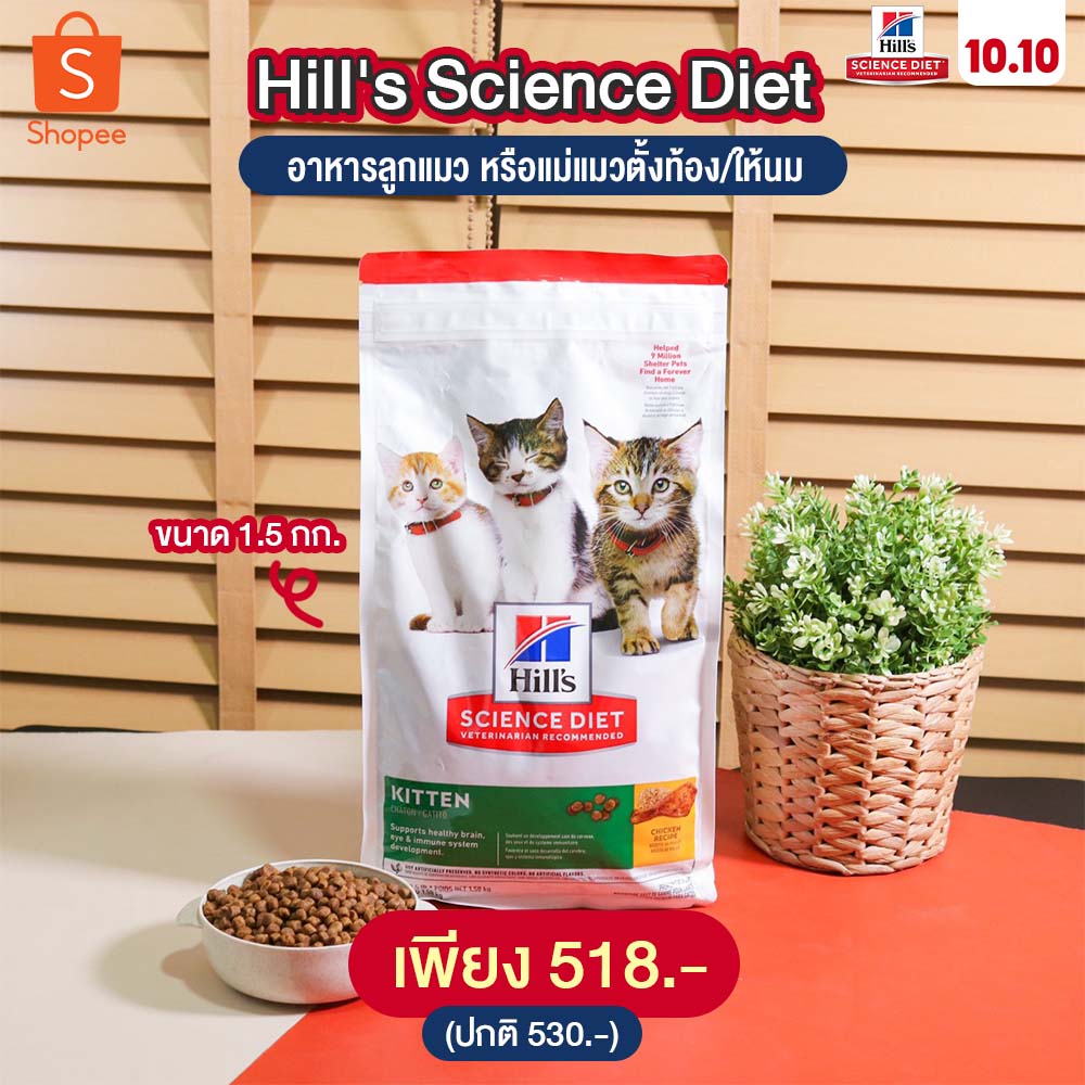 salehere1's tweet photo. 📣 เจ้าทาสเตรียมช็อป!! อาหารแมว Hill's Science Diet #ลดสูงสุด 150.- (จำนวนจำกัด เฉพาะขนาด 6kg ขึ้นไป) พร้อมคูปองส่วนลด 100.- ส่งฟรี!! #วันเดียวเท่านั้น 
⭐️ รายละเอียดเพิ่มเติม >> https://t.co/wB6bMarOAZ
#SaleHere #ShopeeTH1010KOL #HILL https://t.co/5GReBLHYpJ