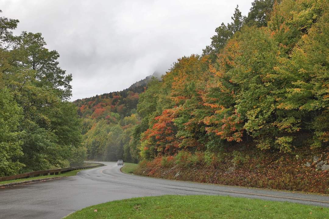 BlowingRock_NC's tweet photo. Fall photo for Oct 6, taken near Stack Rock.
#fall #leaves #dailyfallphoto https://t.co/CRySPnr12D