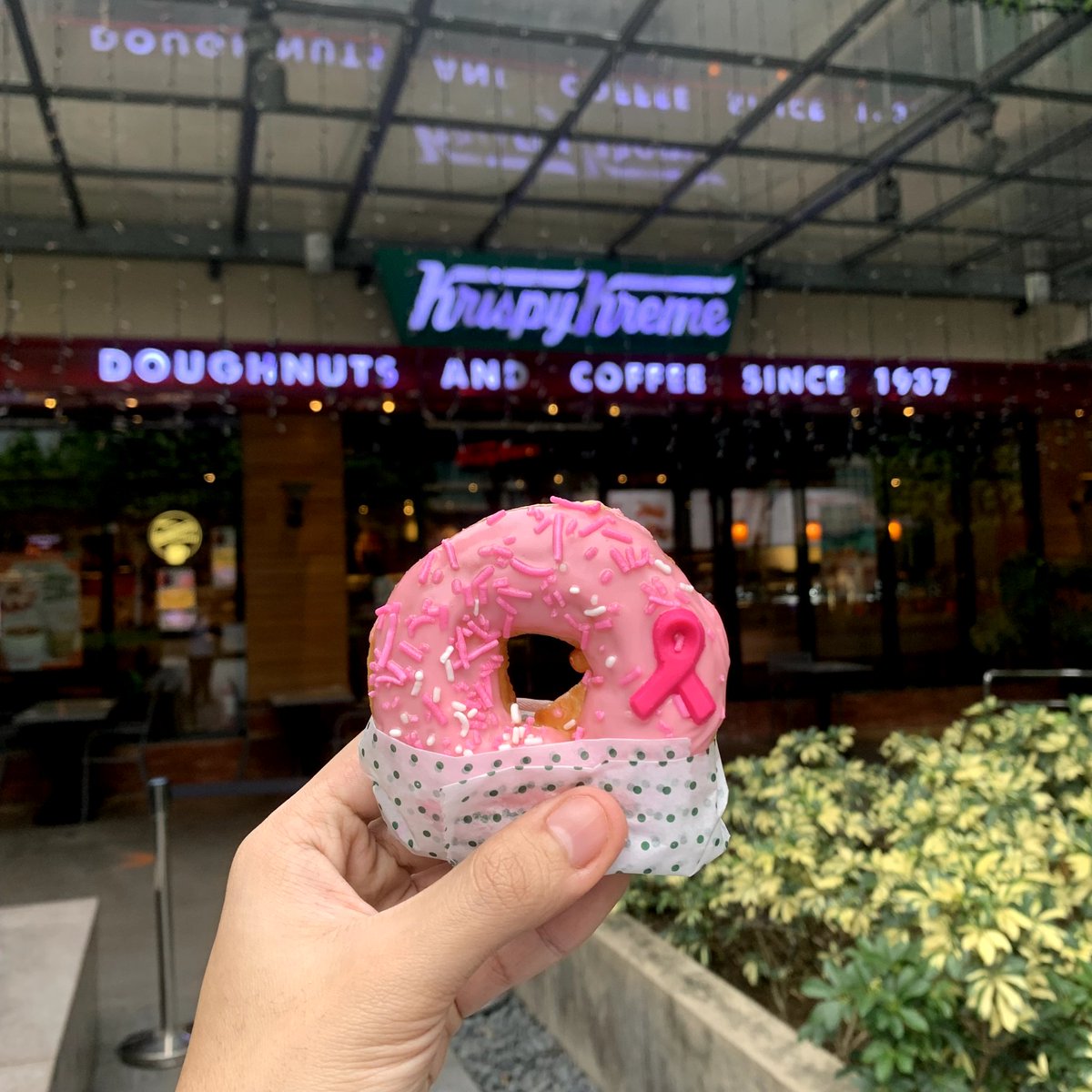 KrispyKremePH's tweet photo. #ThinkPink with our strawberry ring-filled Pink Ribbon doughnut, dedicated to all the pink warriors this October! 💓

*A portion of the sales proceeds will be donated to the ICANSERVE Foundation, Inc. 🎗 https://t.co/H2bZ6QKvYB