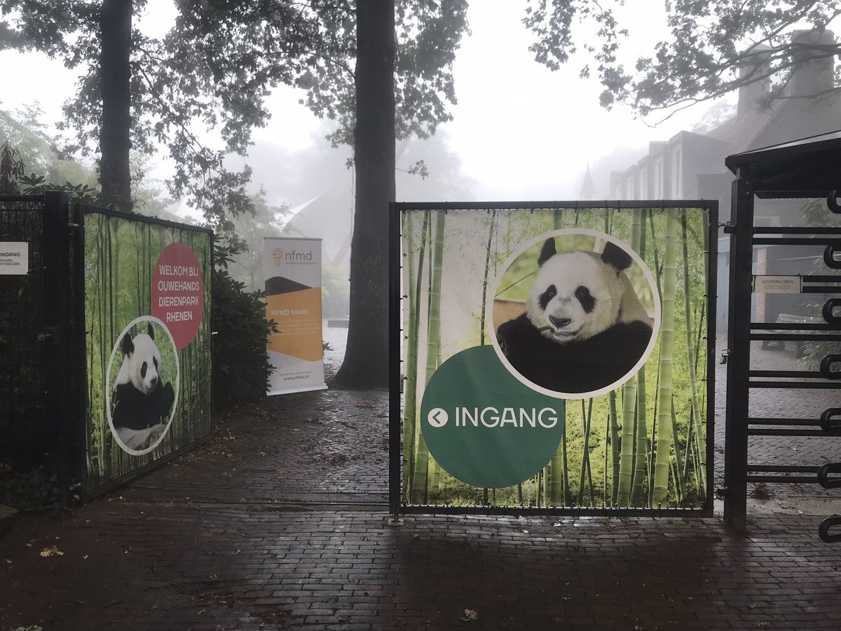 NFMD_NL's tweet photo. Vandaag ontmoeten we de NFMD leden weer, bij @OuwehandsZoo!
#managementdevelopment #HR #MD #HRD #leiderschap #apen https://t.co/gMAOdDX83Z