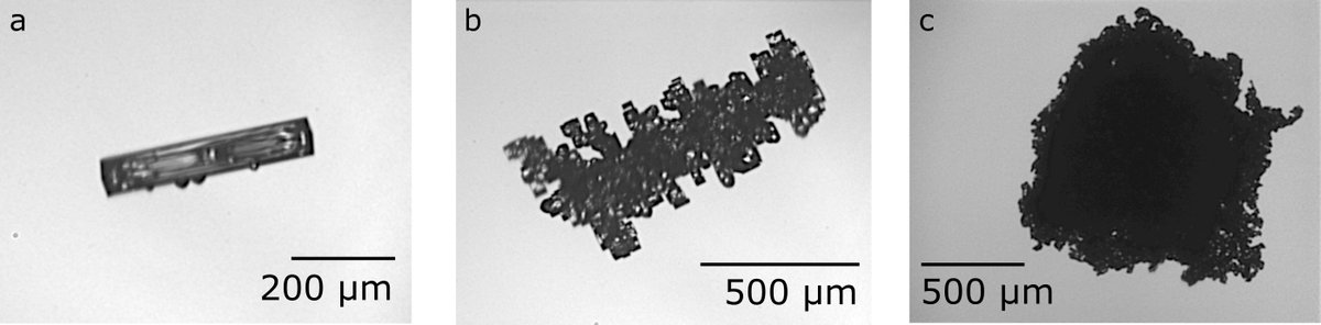 These three ice crystals were found in mixed-phase clouds. What differentiates them is the amount of liquid droplets that they have gathered in the riming process. 

For his #PhDwork Fritz investigated riming. Now his preprint is online! #AirborneScience

acp.copernicus.org/preprints/acp-…