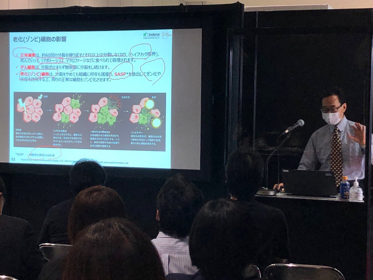 IndenaSpA's tweet photo. #Quercefit, #senescence and #respiratoryhealth: our Taku Yoshiki presentation gathered a lot of interest @HiJapan 2021! Want to know more? Click here 👉🏻 https://t.co/pTPaaaTir3 https://t.co/xMAYbg2rnu