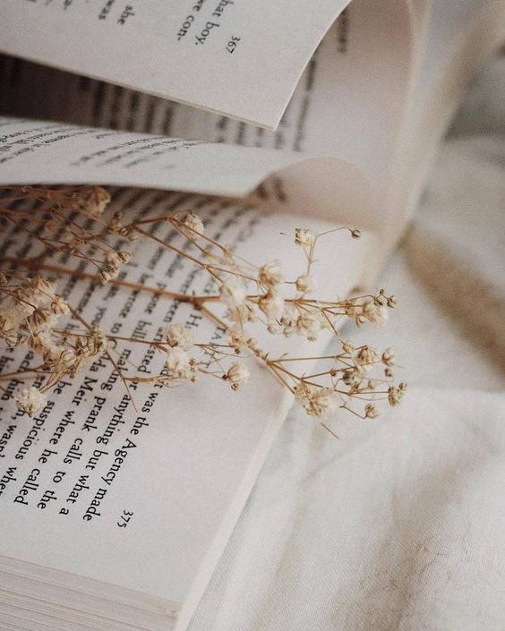 in__correctly's tweet photo. 🦊Зови меня Чонин, я #ищумью
Чаще буду твитить о скз, своей жизни и учёбе

Учусь на переводчика, фотографирую, пишу фанфики, хочу танцевать, играю в геншин

Твой фд не важен, буду рад каждому! Оставь что-то в рп если правда хочешь👉🏻👈🏻 https://t.co/PYNnKIPDOG