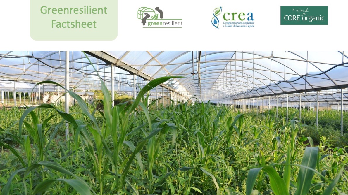 Agroecological service crops in Southern European greenhouse <a href="/green_resilient/">Greenresilient</a>  factsheet is now available in EN and IT 🇮🇹 thanks to those at @CREA_Ricerca 

organic-farmknowledge.org/tool/38780/