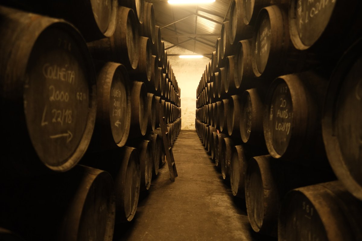 SV_Wines's tweet photo. Dalva es un paraiso de #colheitas de #Porto donde cada vendimia nos guarda recuerdos de las vivencias de todo ese año #Dalva #Oporto https://t.co/3gldbjMmGH