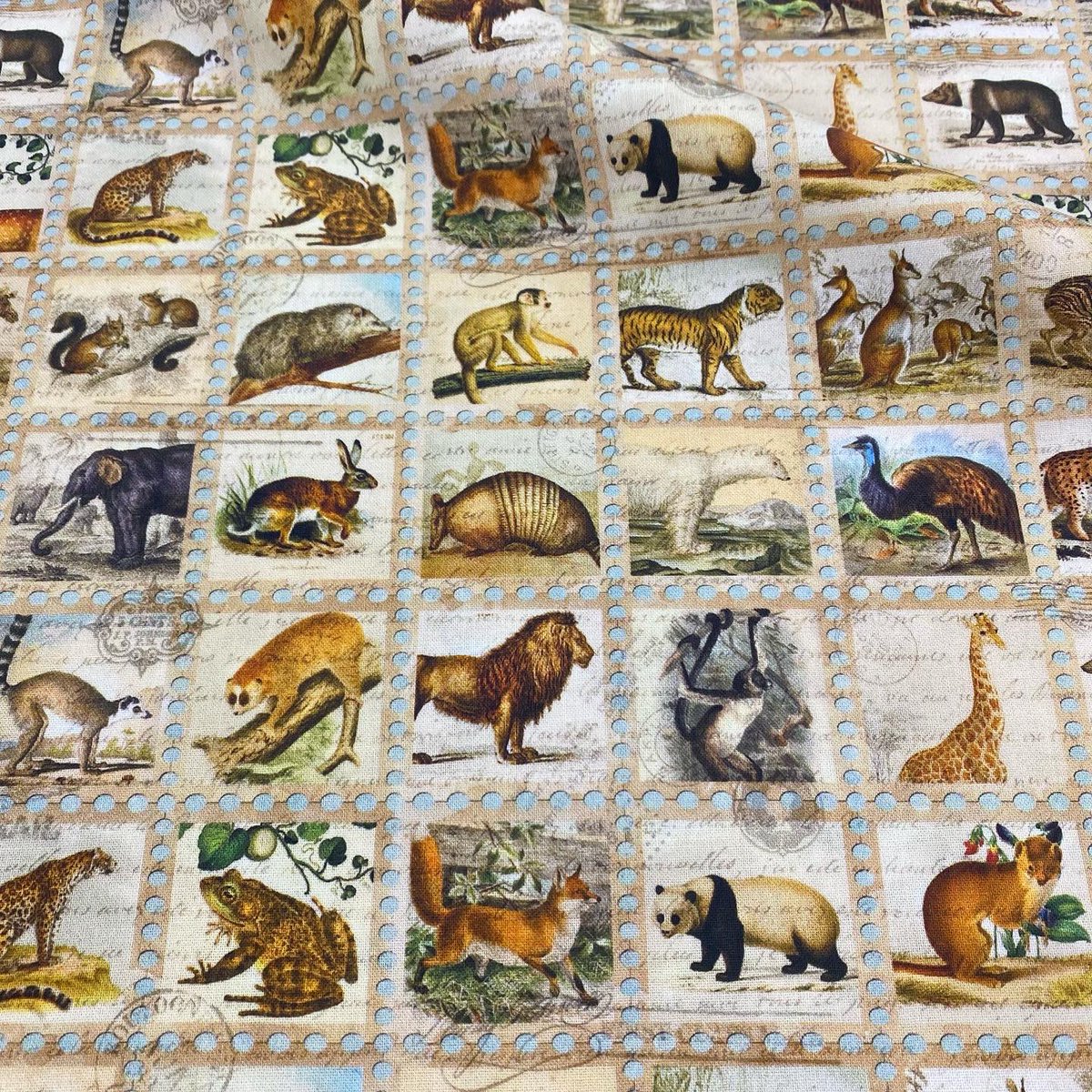 コットンファミリー Cottonfamilytmk Twitter