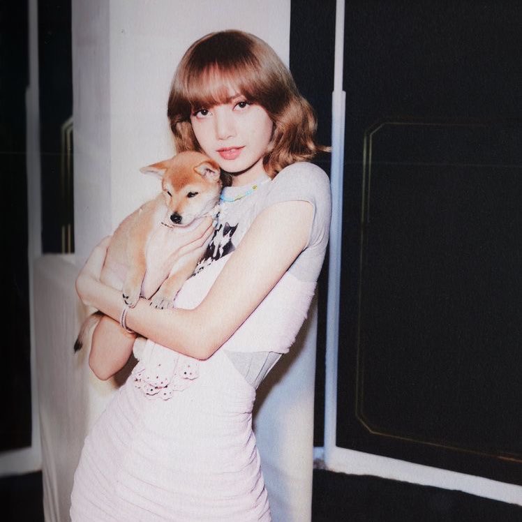 withlllisa's tweet photo. LALISA เป็นไงบ้าง อยู่ไหน

JUSTICE FOR LISA
#YGLetLisadoHerWork https://t.co/rd0I3m6o1T
