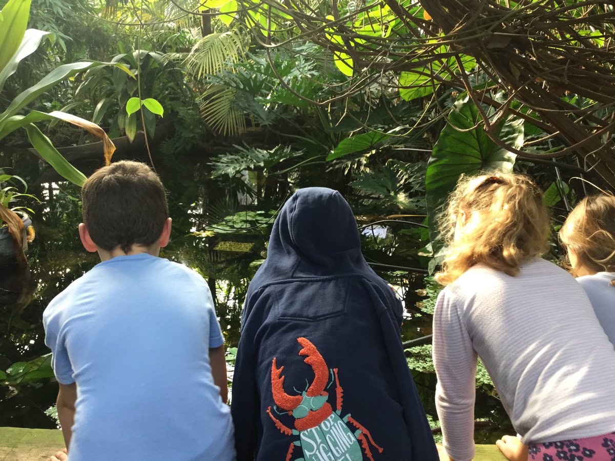 CarrdusYear3's tweet photo. Year 3s had a wonderful visit to the Living Rainforest yesterday! #carrdusschool #livingrainforest @CarrdusYear3 https://t.co/Od5qezLHui