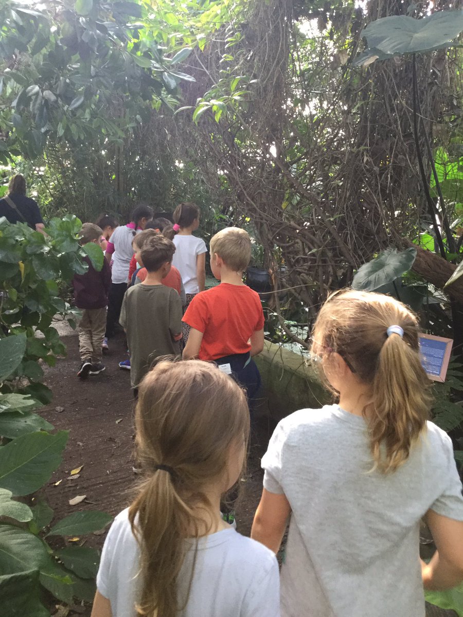 CarrdusYear3's tweet photo. Year 3s had a wonderful visit to the Living Rainforest yesterday! #carrdusschool #livingrainforest @CarrdusYear3 https://t.co/Od5qezLHui