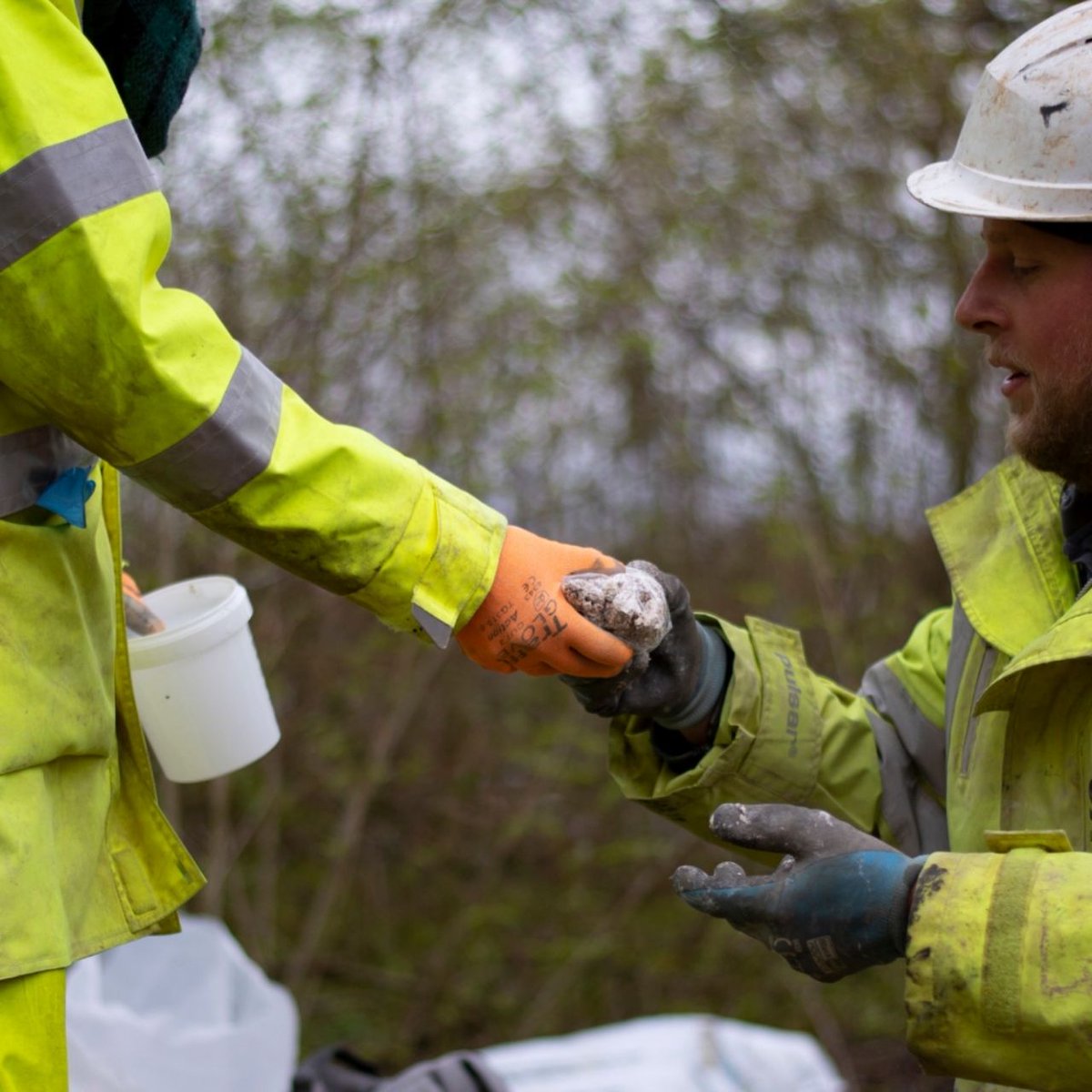 Soils Limited tweet media