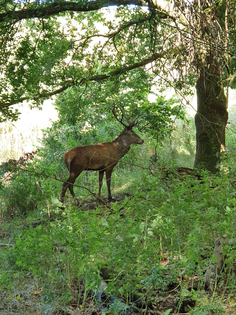 #Natuurpark #Lelystad@Flevolandschap