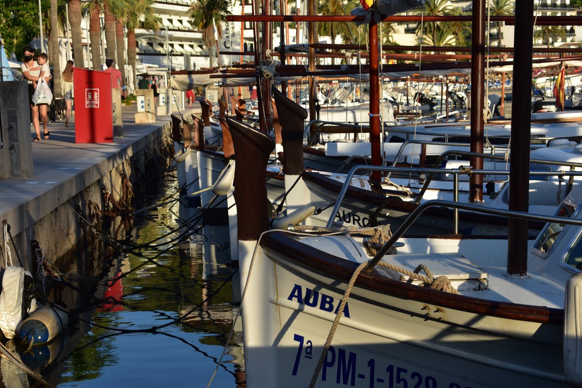 Foravila_IB's tweet photo. Sóller i Pollença al·leguen contra el Pla General de Ports per ocupar més espai prop de la mar
https://t.co/HYV4ItiyIg
#portsib https://t.co/9bn0p5CjzD