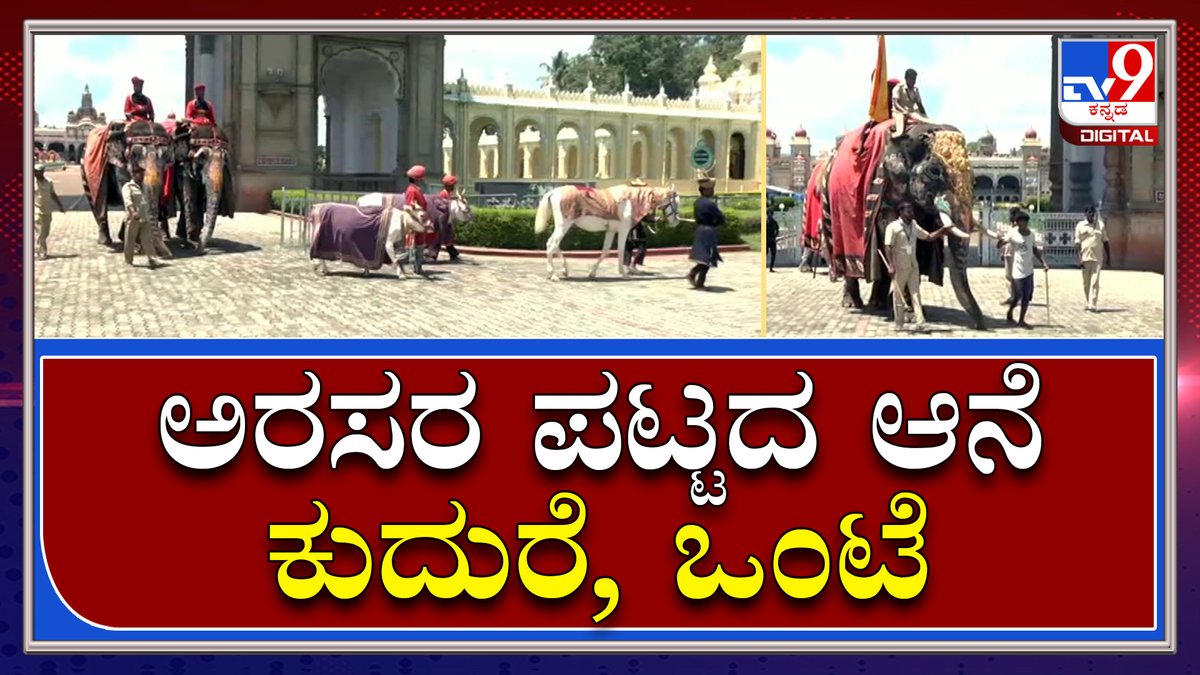 tv9kannada's tweet photo. Mysuru Dasaraಅಂಬಾವಿಲಾಸ ಅರಮನೆಯಲ್ಲಿ ಖಾಸಗಿ ದರ್ಬಾರ್ಗೆ ಪಟ್ಟದ ಆನೆ, ಕುದುರೆ, ಒಂಟೆ ಆಗಮನ | Tv9kannada
Video Link►https://t.co/la85F3aPER
#TV9Kannada #MysoreDasara #Ambari #GoldAmbari #MysorePalace #CMBommai #Elephant #Chamundeswari #MysoreTemples https://t.co/GJzbVN8MBN