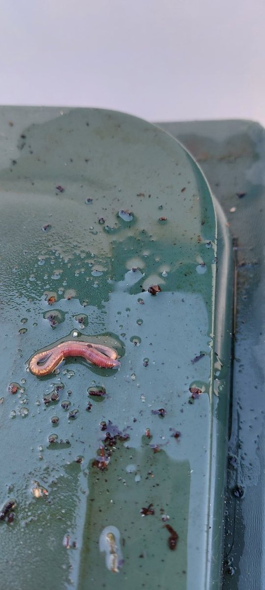 Stephen Trotter tweet media