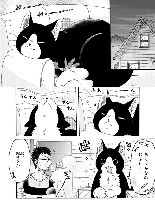 ねこまたと なつのおわり🐱🌽 