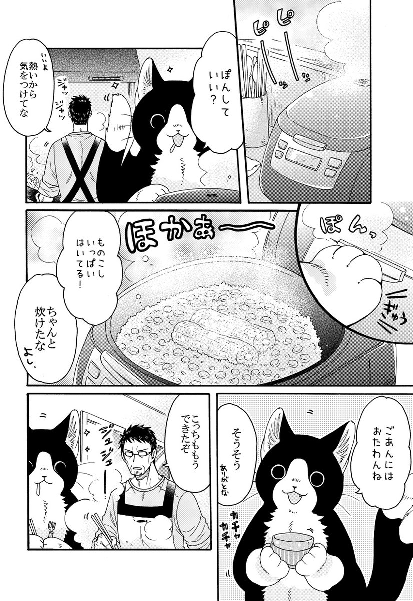 ねこまたと なつのおわり🐱🌽 