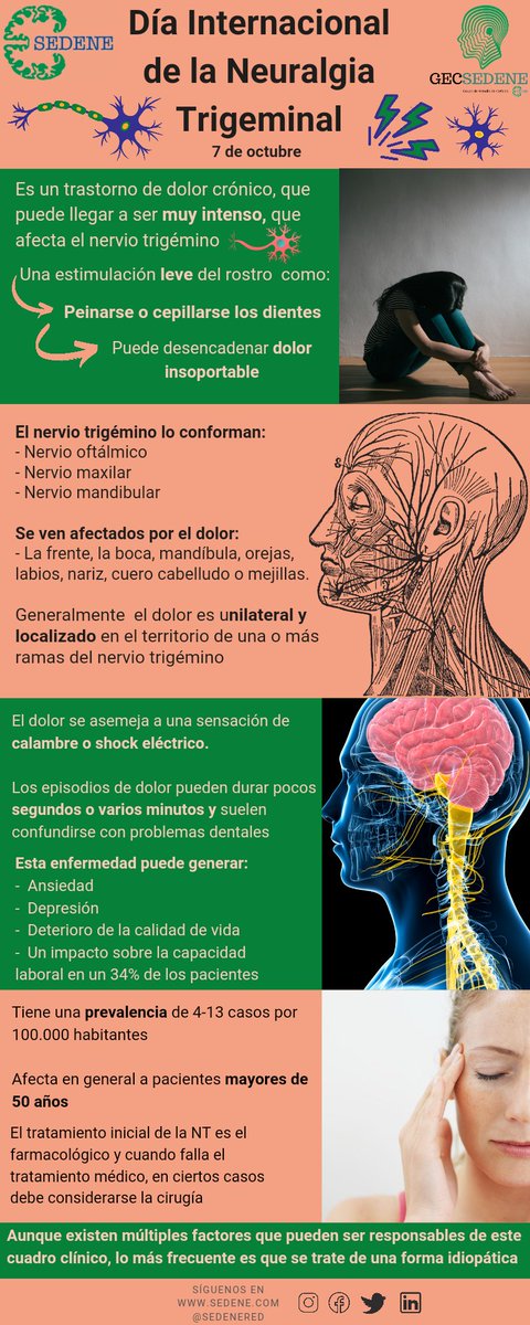 ags_nortedejaen's tweet image. Hoy se celebra el #DiaInternacionalNeuralgiaTrigemino
La #NeuralgiadelTrigemino causa #dolor facial intenso debido a la afectación de este nervio, el cual es responsable de la sensibilidad de tacto de la cara
Compartimos la infografía de @sedenered sobre esta neuralgia