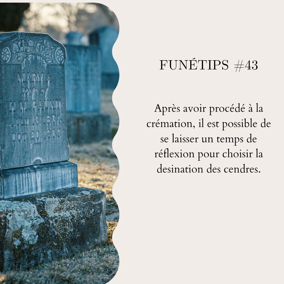 Epbaron_'s tweet photo. Suis-je dans une quête sans relâche du design des #funetips ? TOUTAFÉ 😲 https://t.co/7KUw7wMqqJ