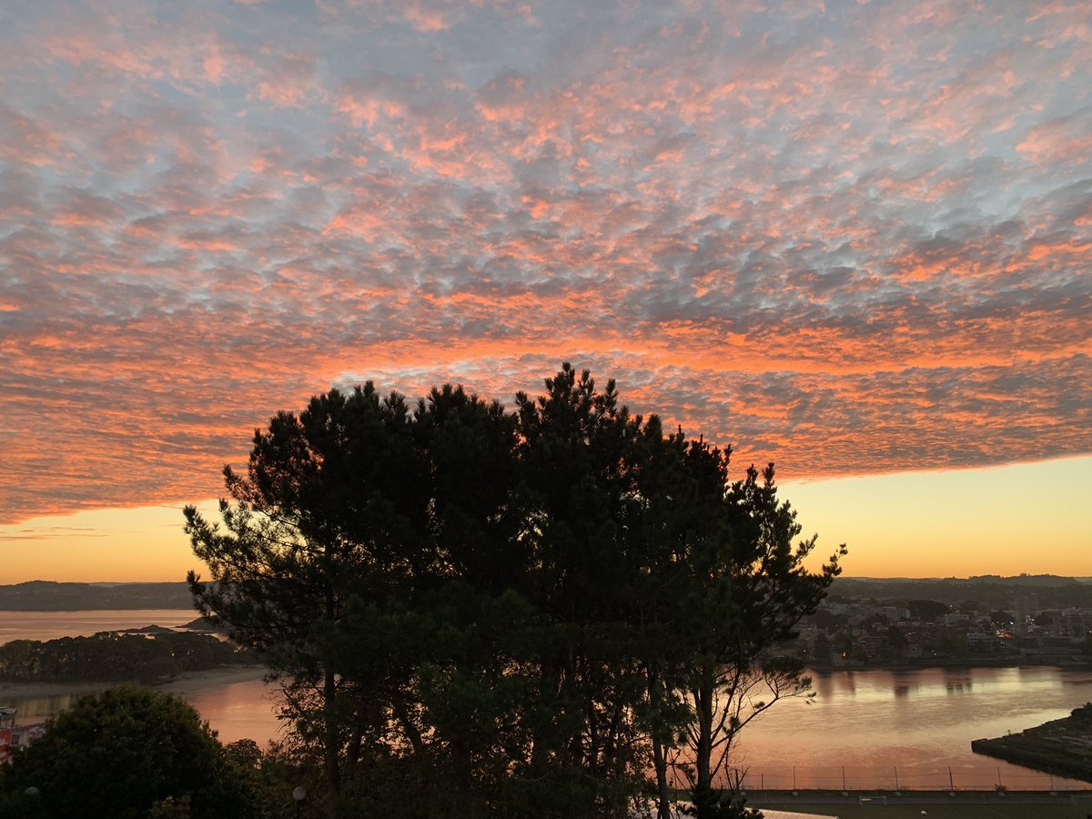 Yo comparto esto que tengo la suerte de disfrutar al ir a trabajar <a href="/cog_es/">COG</a>