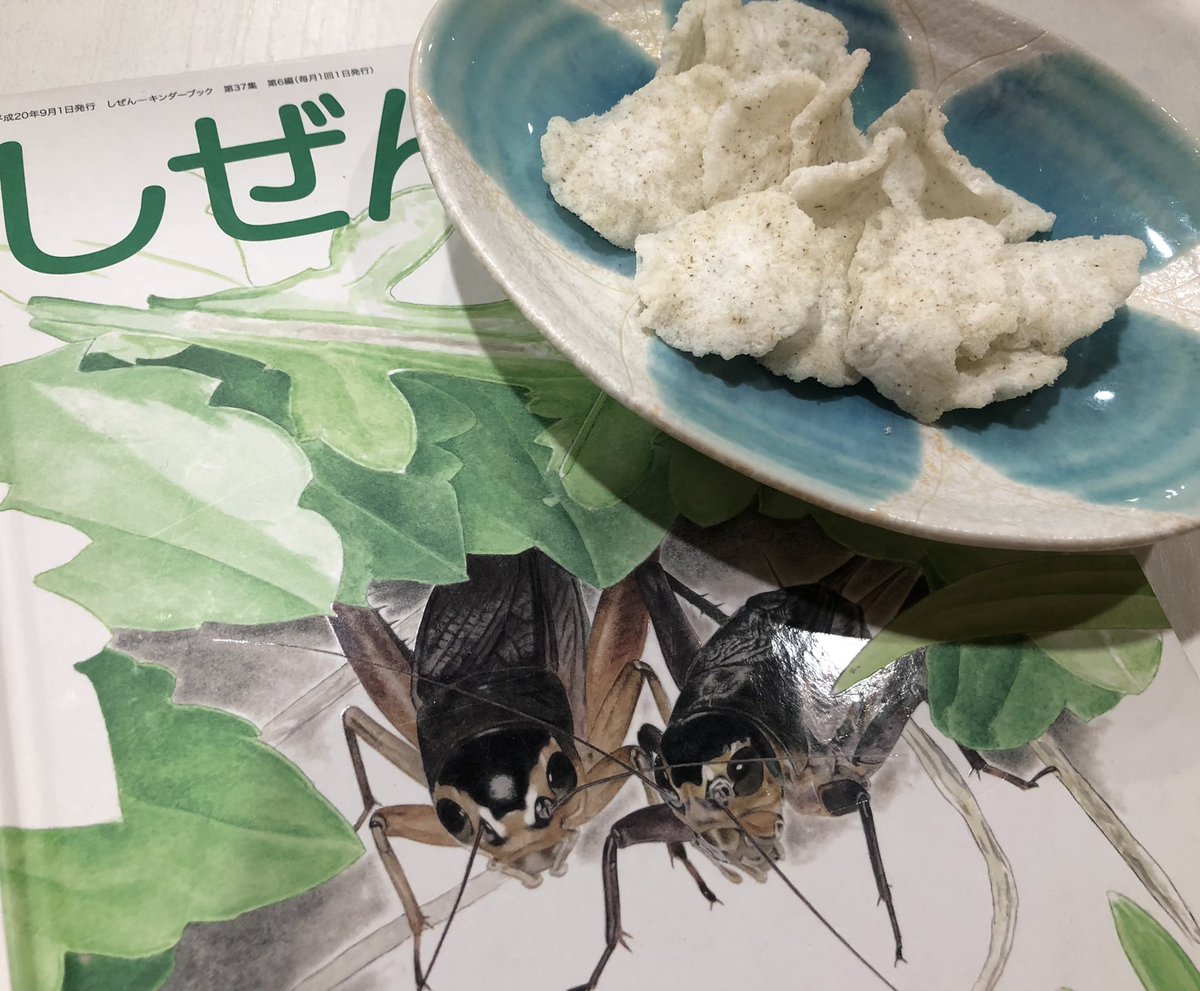 Top Tweets For こおろぎ Twstalker Top Tweets For こおろぎ Twstalker