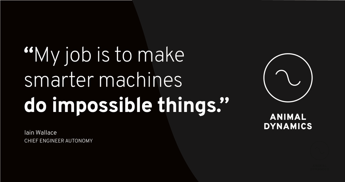 Animal Dynamics tweet media