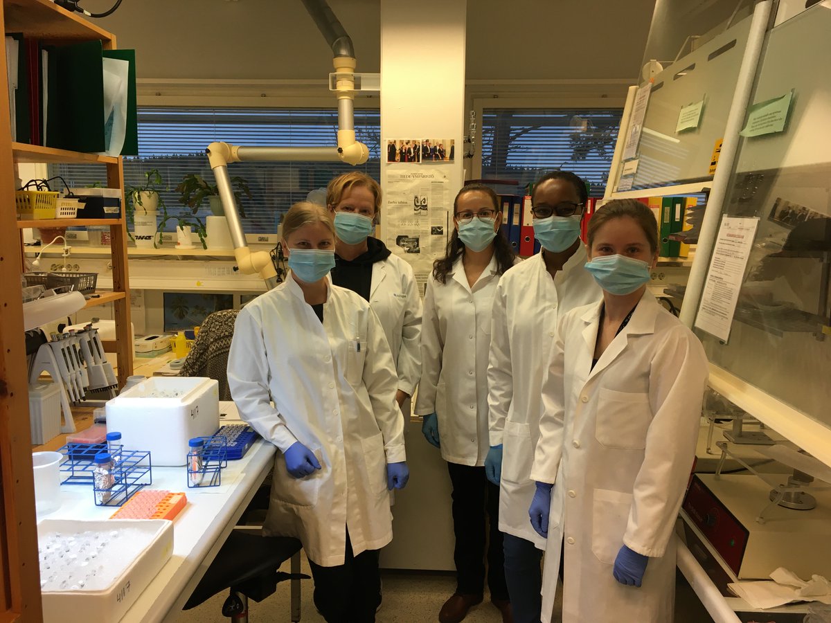 Quantification of #smallRNA with #Qubit assays. Excellent people, calibrated pipets, two hours and 256 samples from three continents of the world. 

Aim to find plasma #biomarkers for #TBI. 
@HeiskanenMette @AIV_Institute 
#Pitkänenlab #EpiBioS4Rx