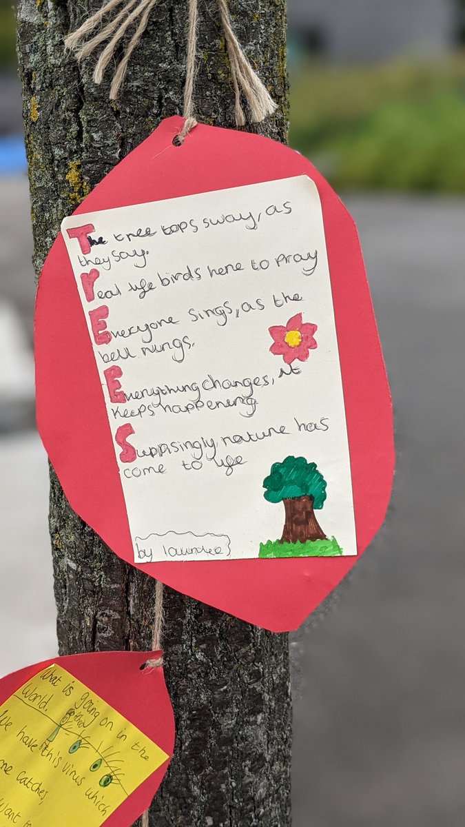 academy_assisi's tweet photo. For #NationalPoetryDay Year 7 students have been writing poems for our Poet-trees. They've also chosen some of their favourite verses and combined them into a beautiful display for the school yard. @ASFALibrary @asfahos https://t.co/eF0sgfJ7QE