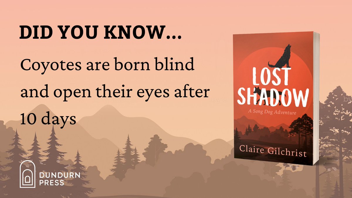 dundurnpress's tweet photo. 🐺If this fact doesn't warm your heart today, we don't know what will 😍
LOST SHADOW by @gilchristwrites is about Pica and Scruff, two urban coyote friends who end up separated and must brave the wild to reunite again. Order your copy today: https://t.co/6v8qoySouq
#LostShadow https://t.co/fmDEwHPIKN