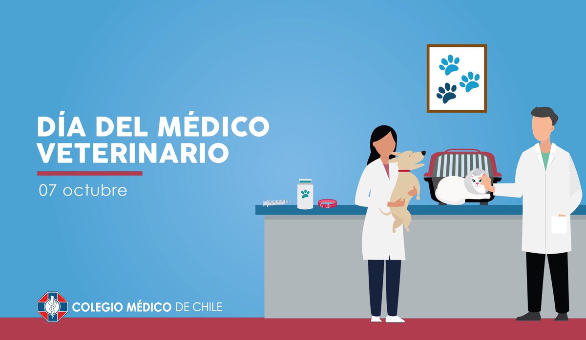 colmedchile's tweet photo. En el Día del #MédicoVeterinario 🐶🐱🐼 enviamos un caluroso saludo a todos los que ejercen tan noble labor.  Reconocemos y agradecemos su compromiso con la salud y bienestar animal, la salud pública y la protección del medio ambiente. #FelizDía @colmevetchile https://t.co/KUifGdhlnA