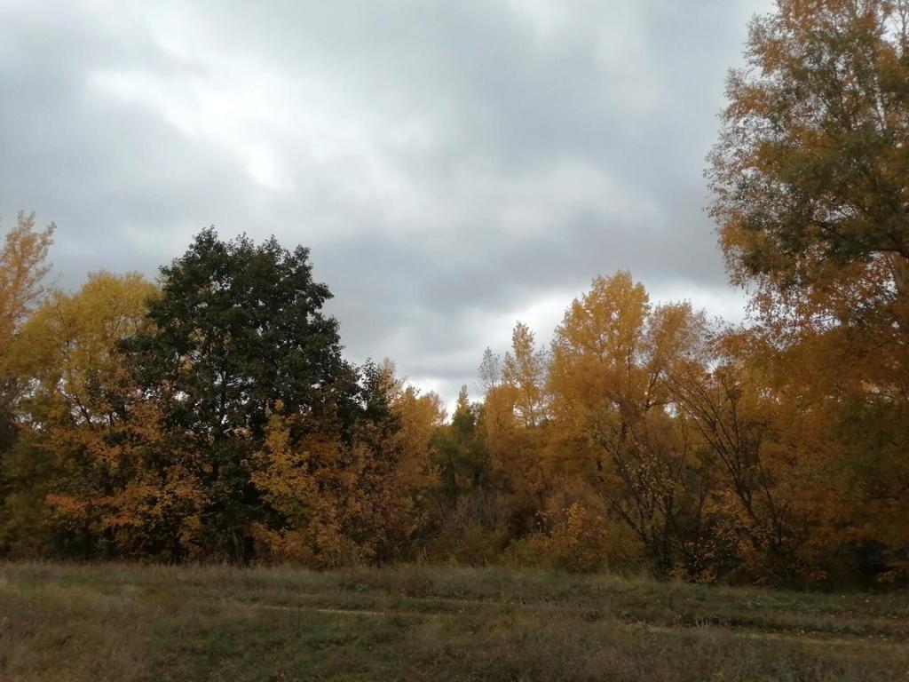 Осень.