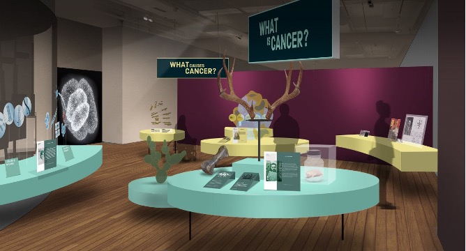 CRUK_MI's tweet photo. From 22 Oct ‘Cancer Revolution: Science, innovation and hope’ opens at Manchester’s Science &amp; Industry Museum. From busting myths, to exploring how the latest early detection technologies &amp; immunotherapies are advancing cancer care! Book your FREE ticket! https://t.co/FCZ458wVUd https://t.co/gayi9sx4lf