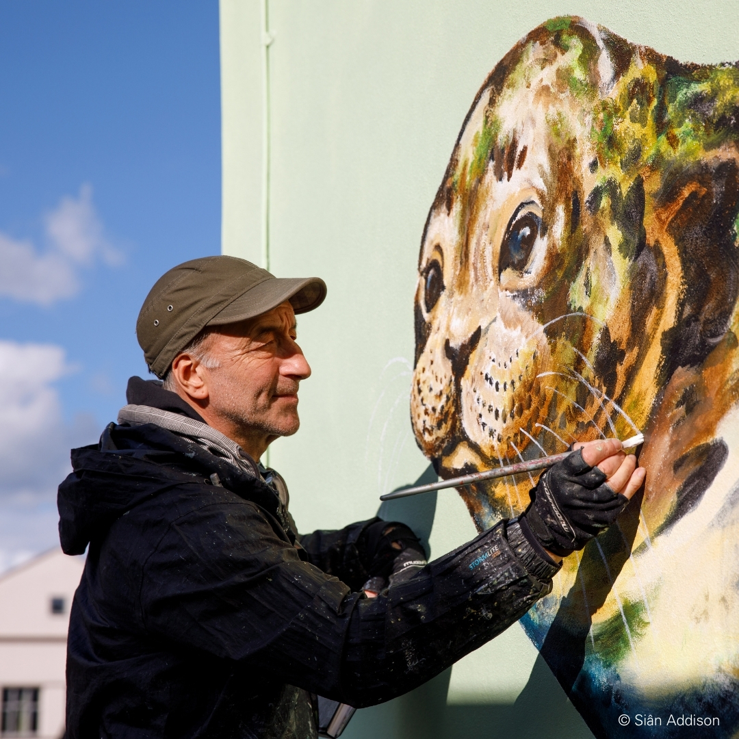 Have you seen our new harbour seal mural near the @LordLouisLib? The artwork is the latest of six marine murals being painted by @AtmStreetart. Our Secrets of the Solent project commissioned the paintings to highlight and celebrate the wildlife in our local waters.
#WilderSolent