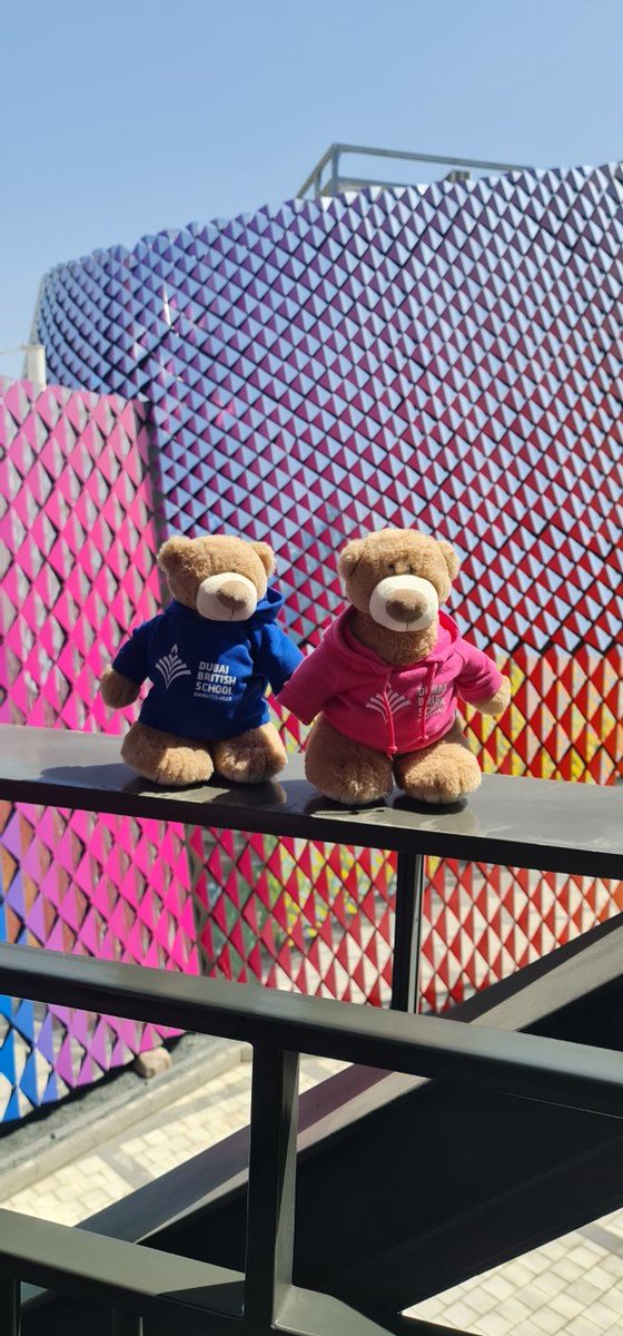 Year 6 | DBS Emirates Hills tweet media