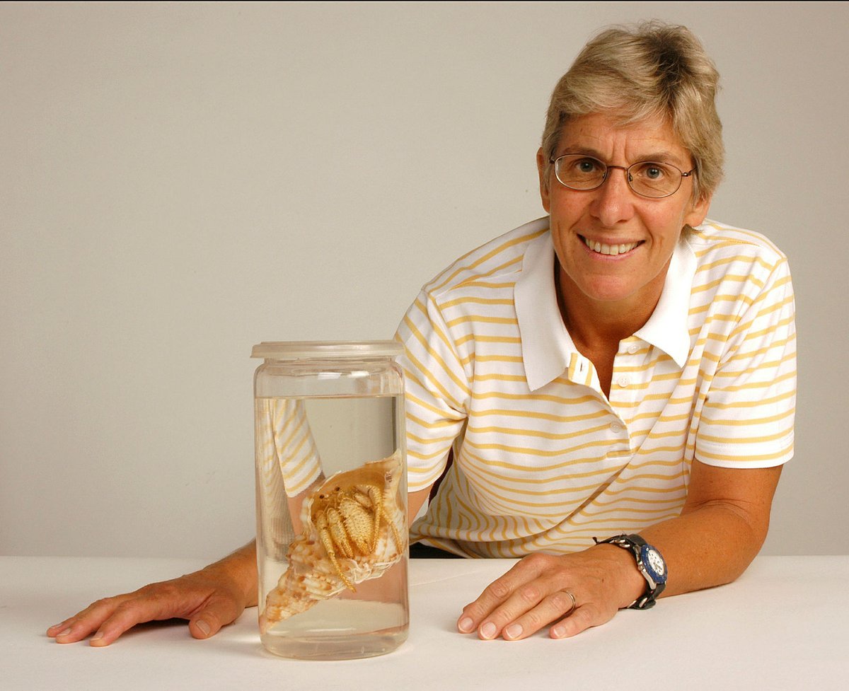 eurekaprizes's tweet photo. Dr Penny Berents @austmus is awarded the 2021 Australian Museum Research Institute Medal, for her lifelong commitment to the field of marine biology, and her passionate contribution to museum policy and management. https://t.co/003GGtdXrA