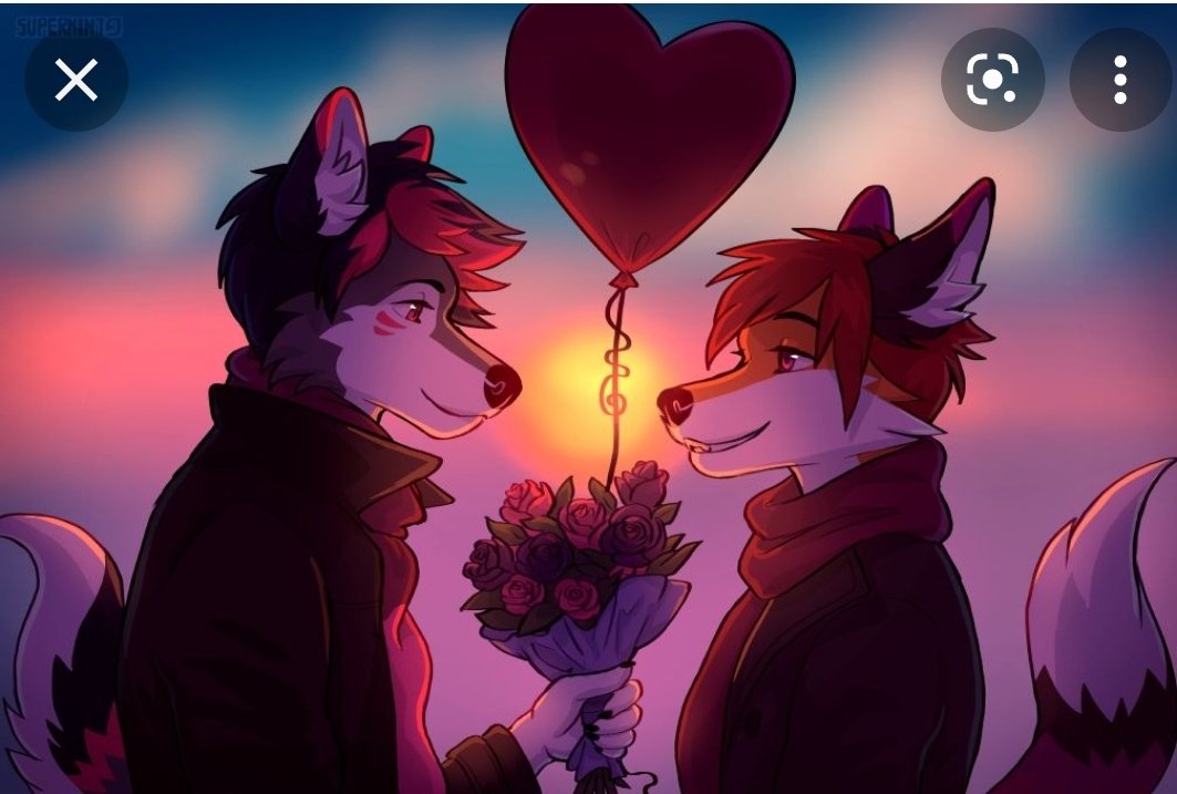 F-r95 furry. парные аватарки фурри. парный фурри арт. парные аватарки фурри. парные аватарки фурри.